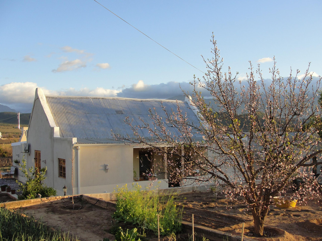 Sunshine Cottages