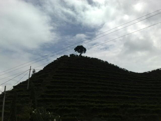 京明温泉度假村主图