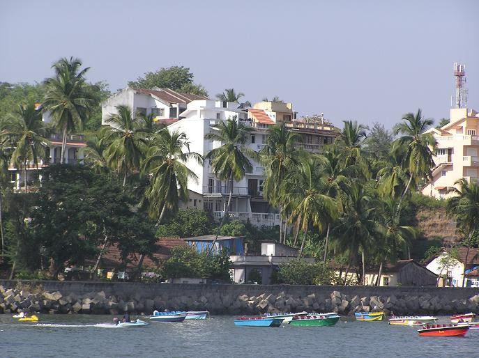 Zuari View
