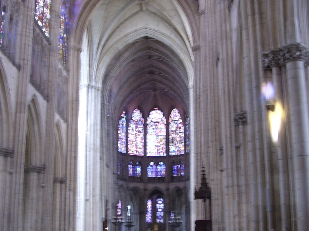 Cathédrale Saint-Pierre-et-Saint-Paul景点图片