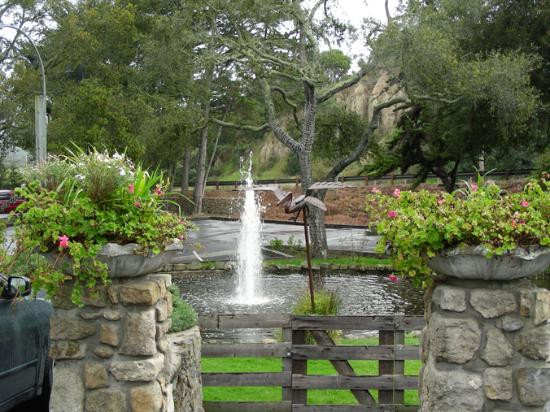 Ventana Vineyards-蒙特雷必去景点