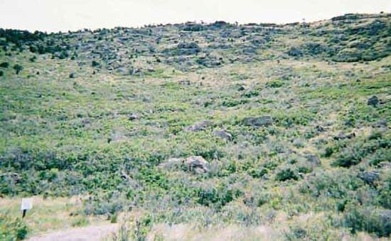 Capulin Volcano National Monument-Capulin必去景点