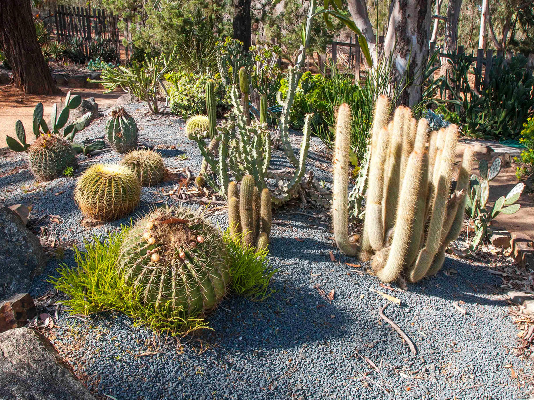 Wagga Wagga Botanic Gardens景点图片