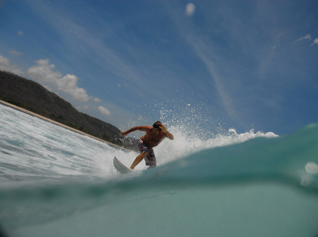 Manly Surf Guide景点图片