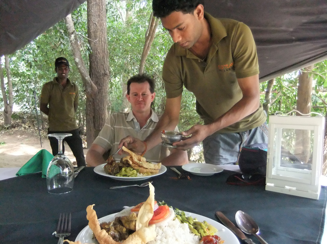 乌达瓦拉维国家公园-乌达瓦拉维国家公园必去景点