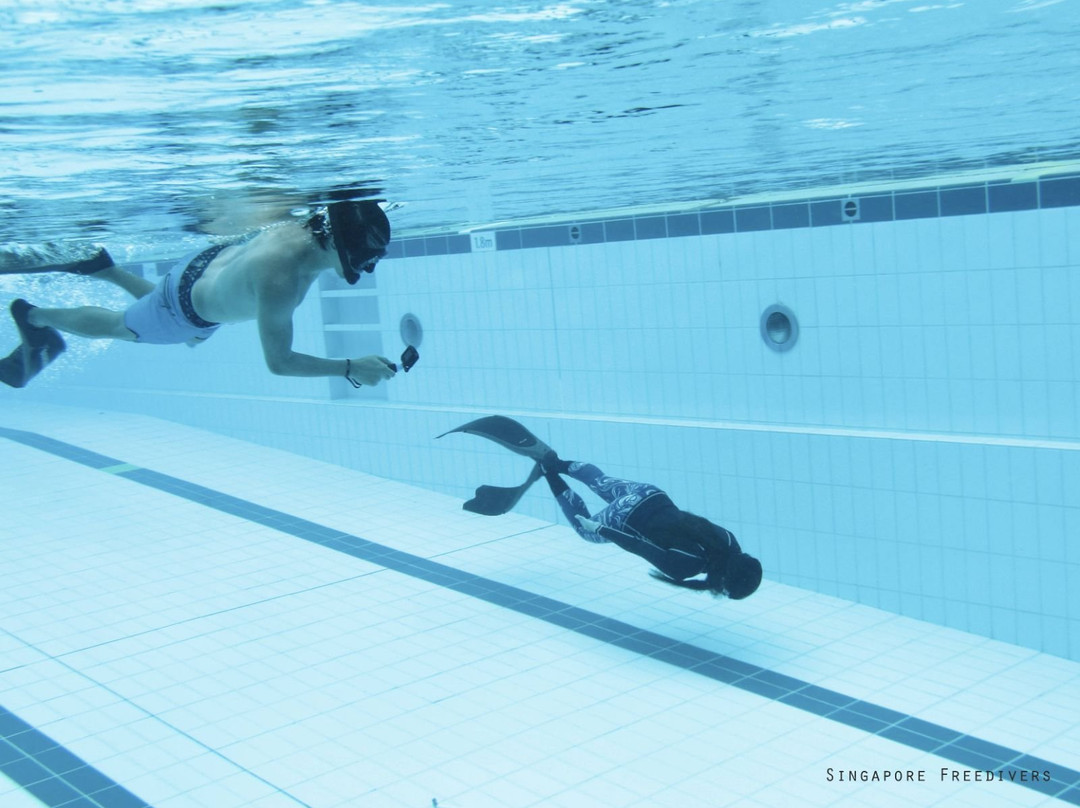 Singapore Freedivers-新加坡必去景点