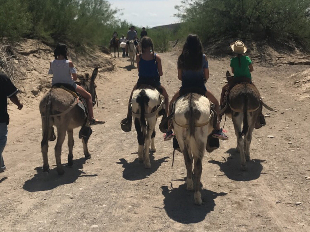 Boquillas Crossing Port of Entry景点图片