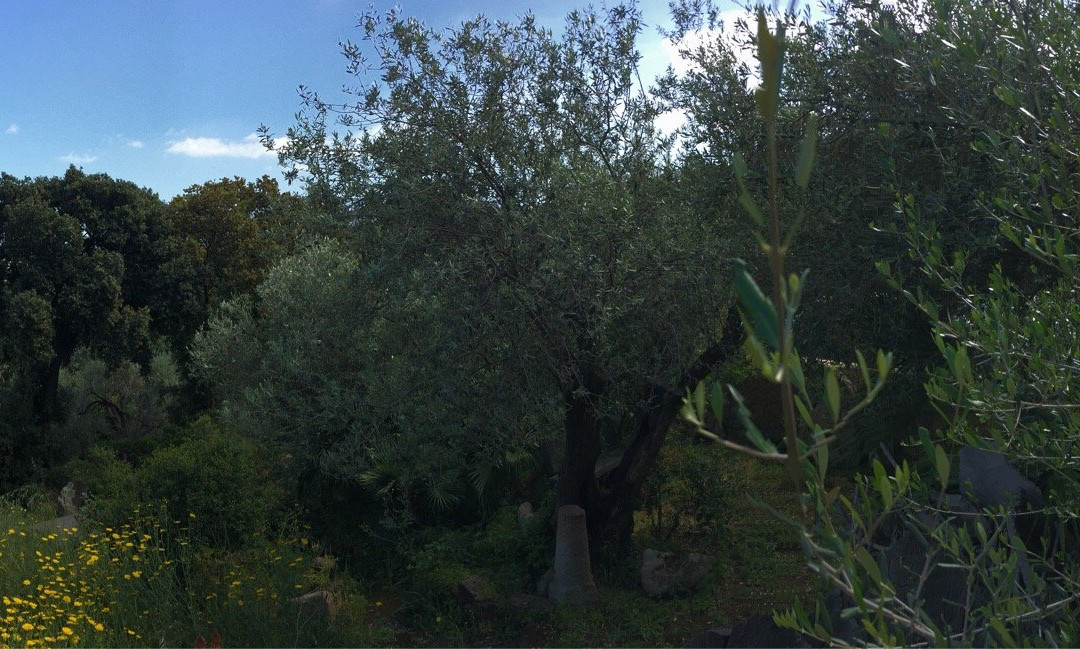 Agriturismo Sa Tella