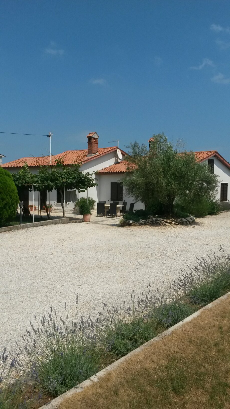 Haus Ivona-官方