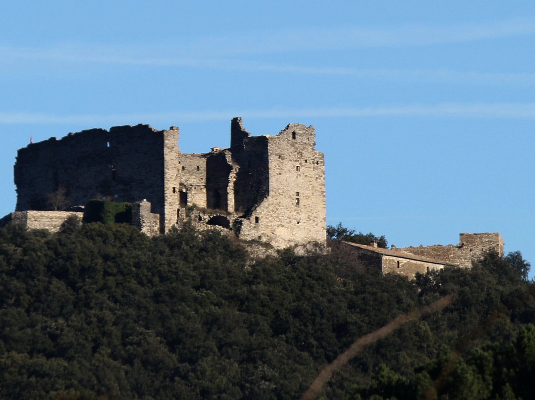 Château de Montalet景点图片