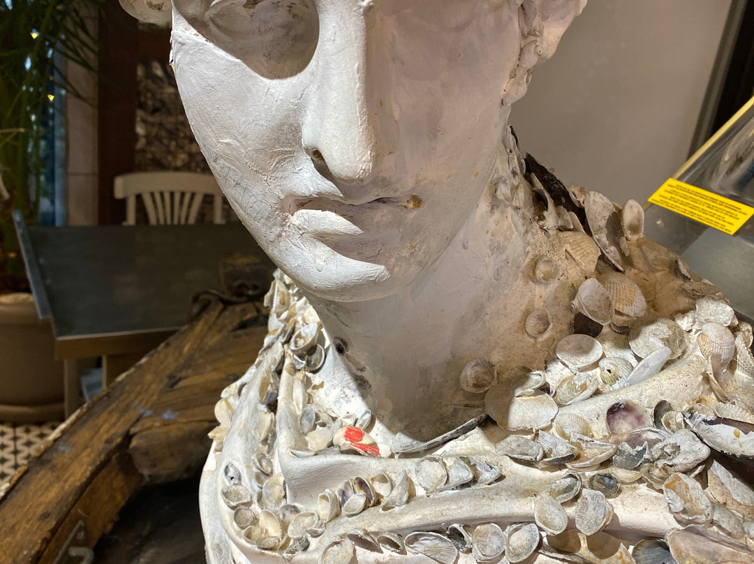 Anchousna Vid Chornomorky主图