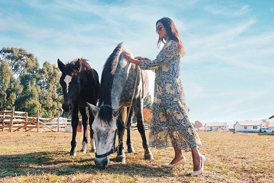 Dullstroom on the Dam-德尔斯特鲁姆必去景点