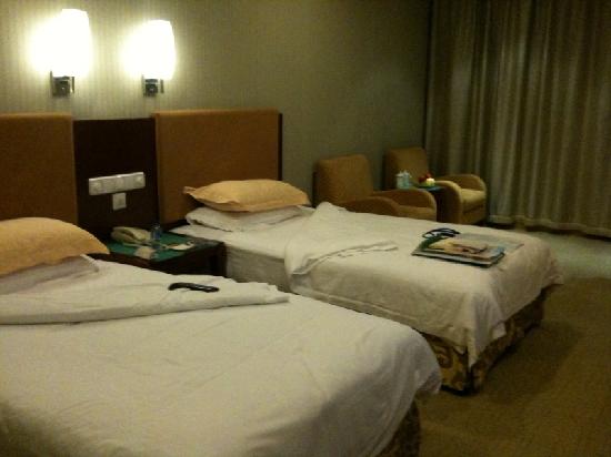 内蒙古维力斯大酒店-客卧