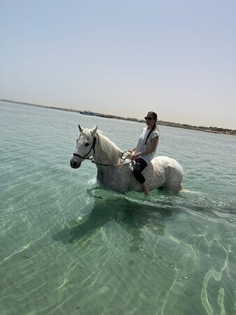 Equestrian Dream Egypt-赫尔格达必去景点