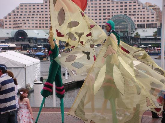 悉尼港湾渡船-悉尼必去景点