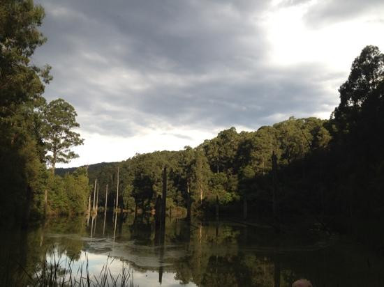 Paddle with the Platypus-Forrest必去景点