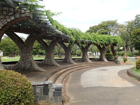 Satomi Park-市川市必去景点