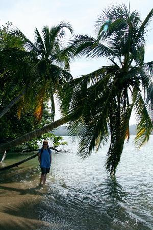 Cahuita National Park景点图片