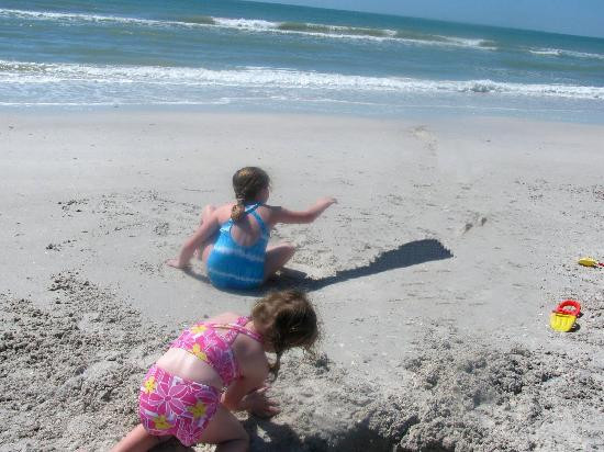 Caladesi Island State Park-达尼丁必去景点