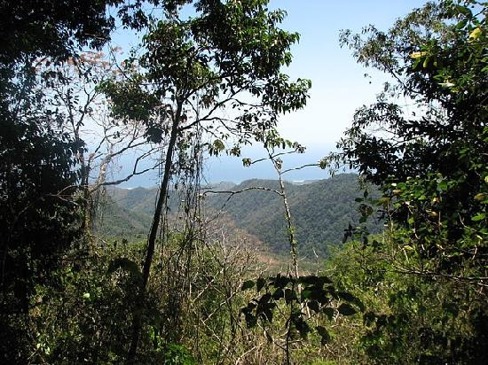 Cerro Hoya National Park景点图片