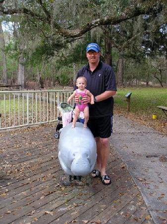 Manatee Springs State Park景点图片