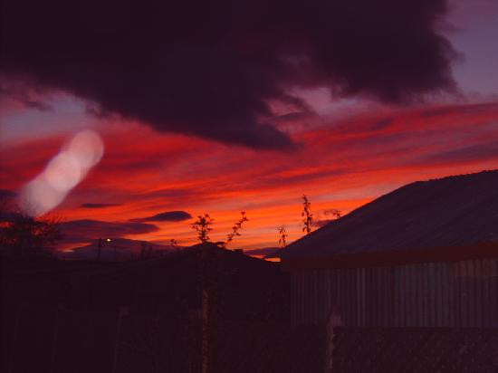 Cueva del Milodon-纳塔莱斯港必去景点