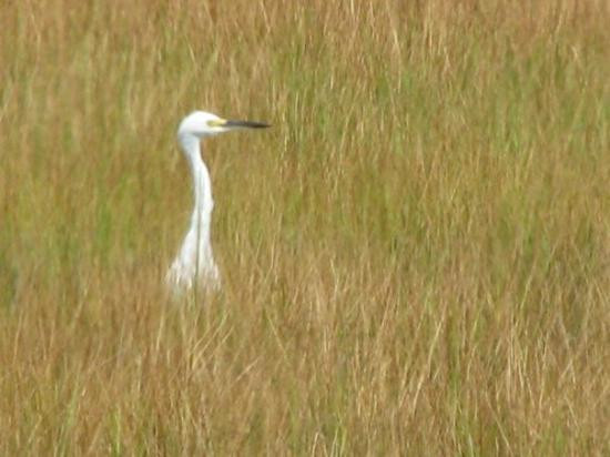 Hammonasset Beach State Park-麦迪逊必去景点