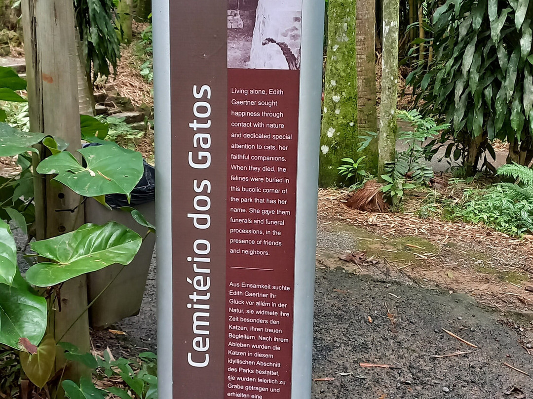 Cemiterio De Gatos-Blumenau必去景点