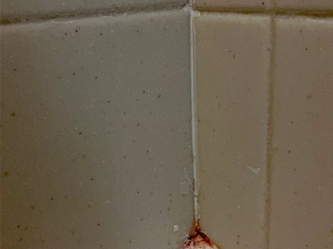 卡纳布智选假日酒店主图