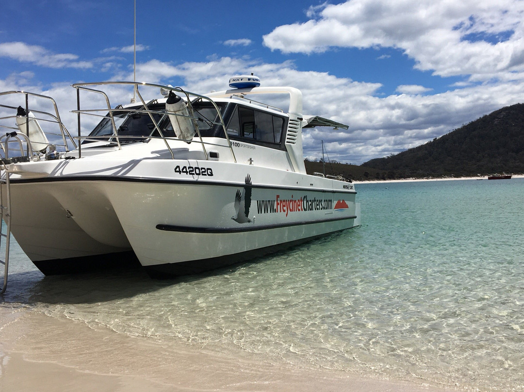 Freycinet Charters-科尔斯湾必去景点