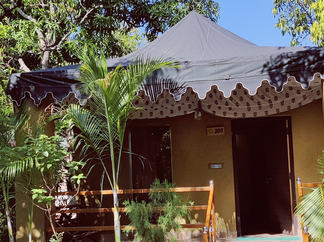 Gir Lion Safari Camp主图