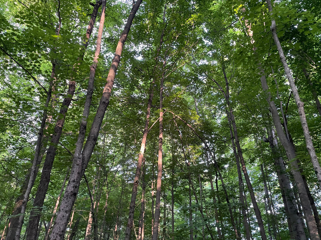 Emily Traphagen Park-Powell必去景点
