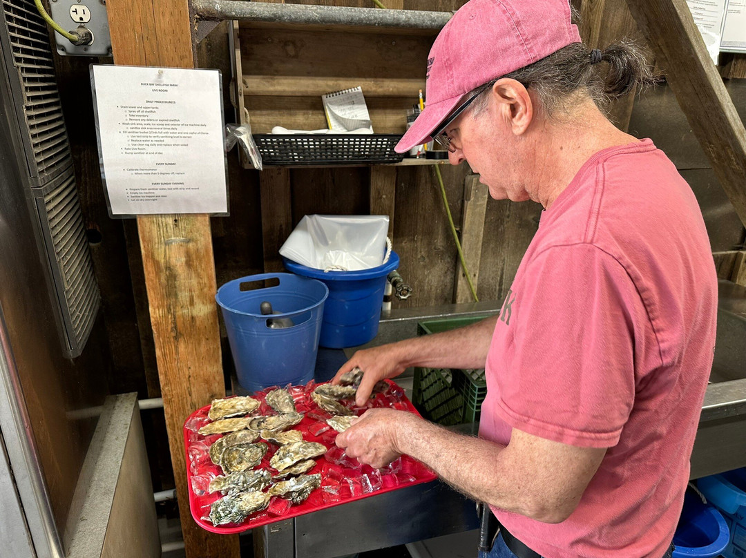 Buck Bay Shellfish Farm景点图片