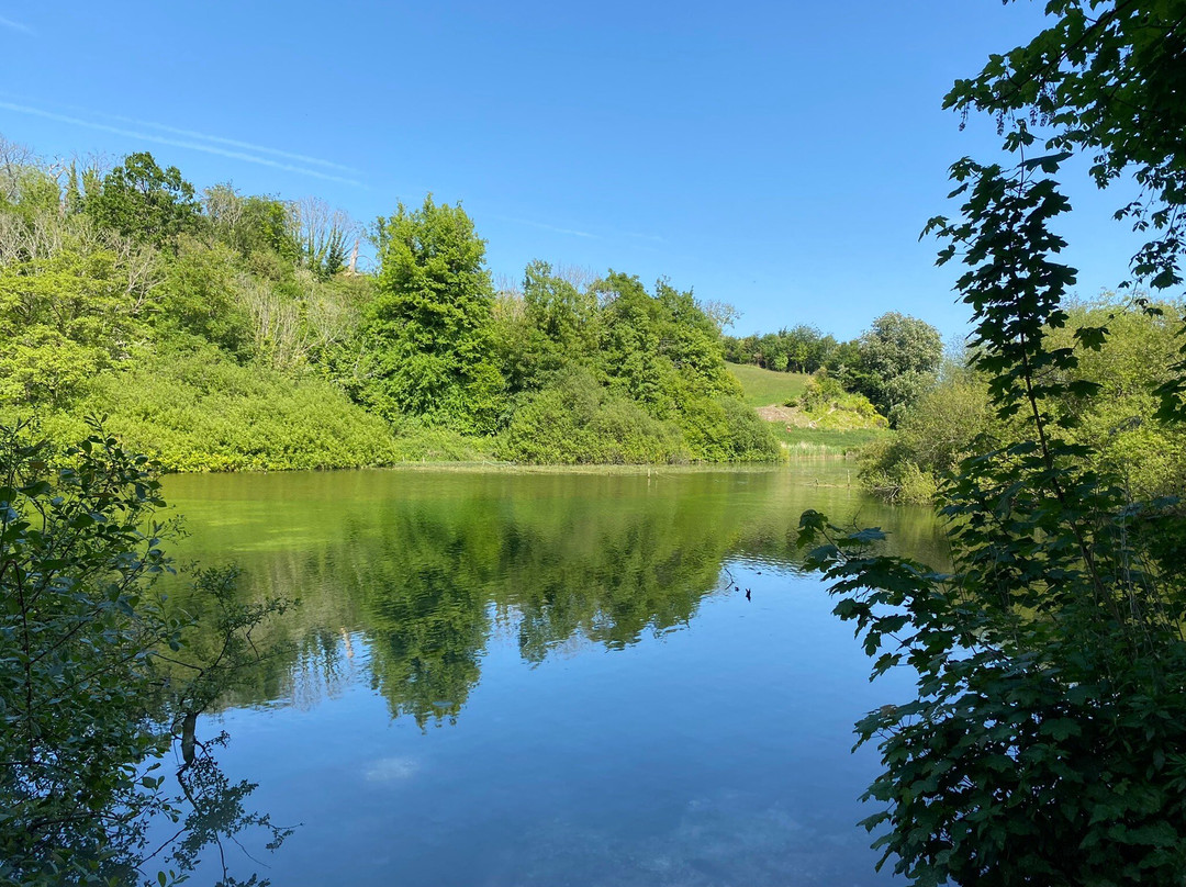 Swanbourne Lake景点图片