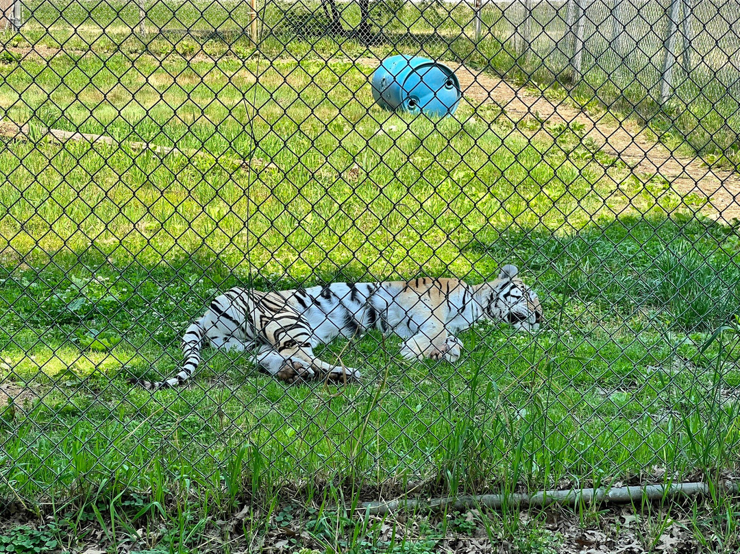 Noah's Lost Ark, Inc.-Berlin Center必去景点