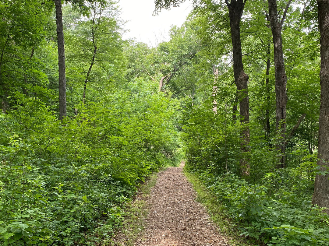 Effigy Mounds National Monument景点图片