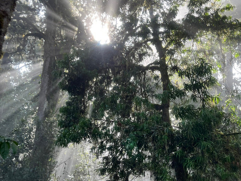 Tanzania Experience-乞力马扎罗山国家公园必去景点