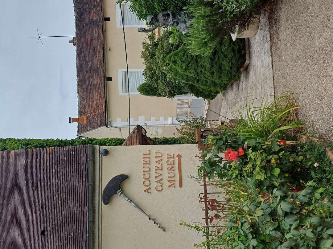 Domaine Alain Geoffroy-Beine必去景点