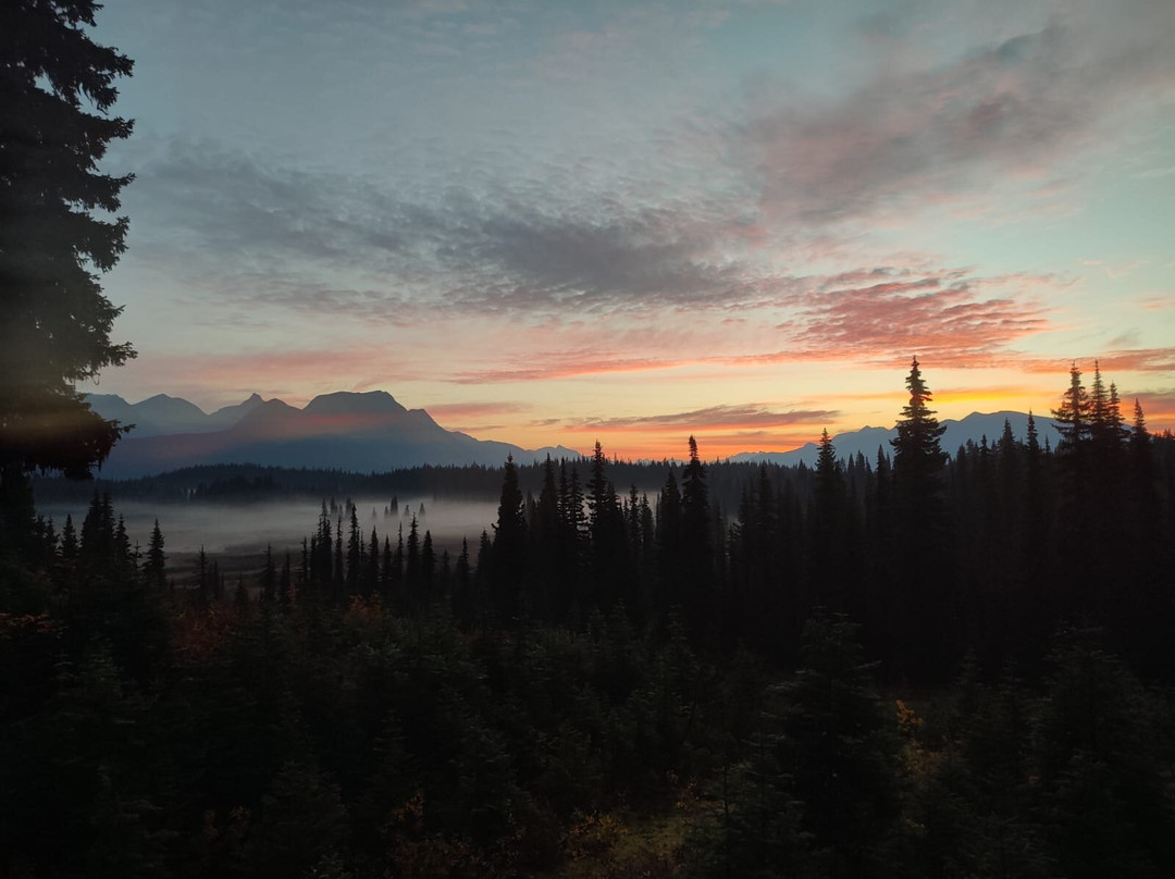 Cameron Ridge Bungalows景点图片