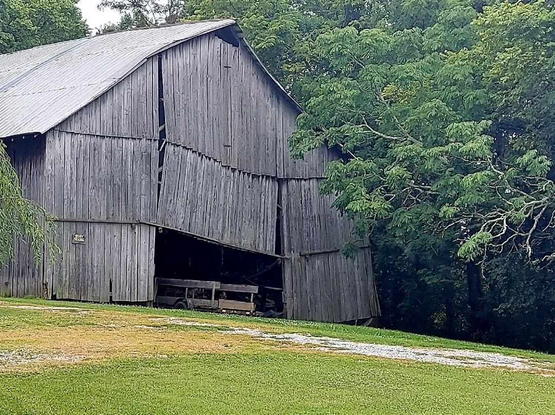 First Vineyard-Nicholasville必去景点