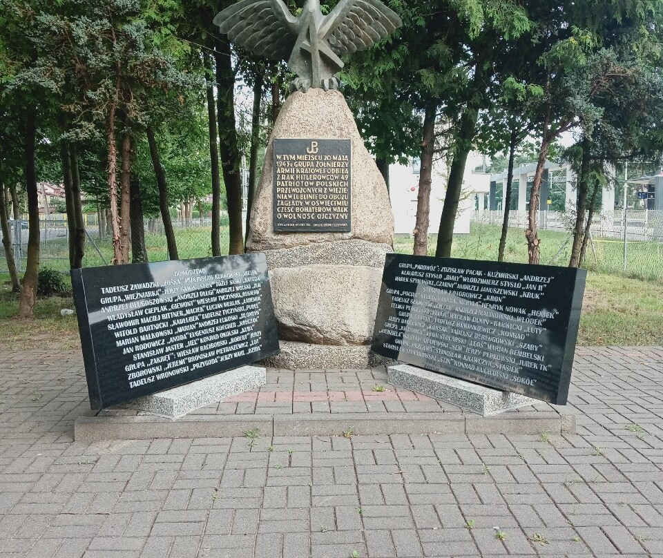 Mazowiecki Park Krajobrazowy景点图片