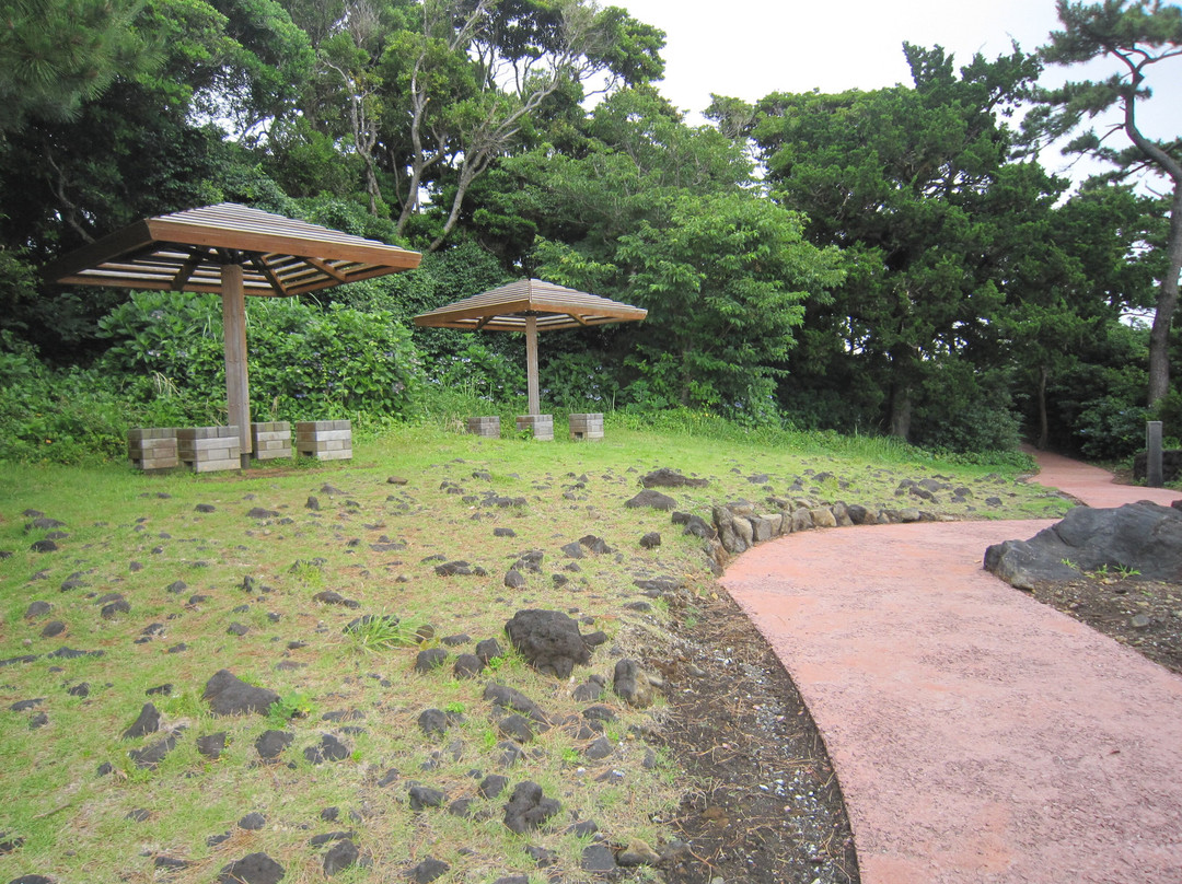 Jogasaki Beach Picnical Course景点图片