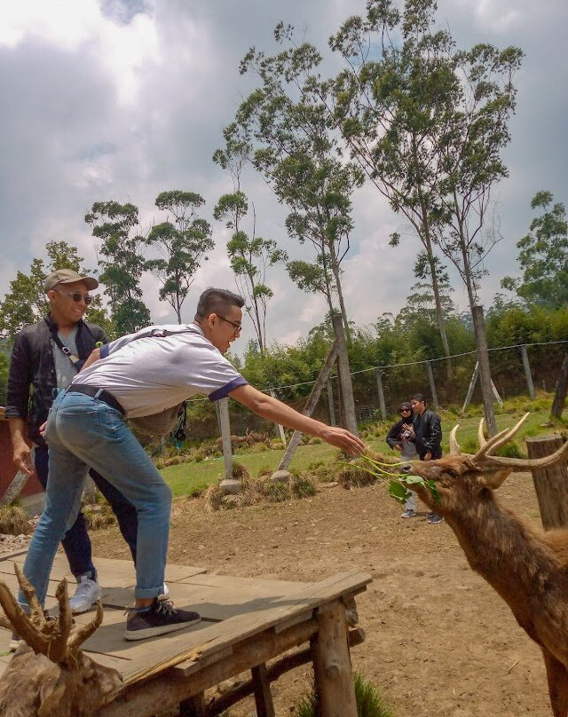 Kampung Cai Ranca Upas-万隆必去景点