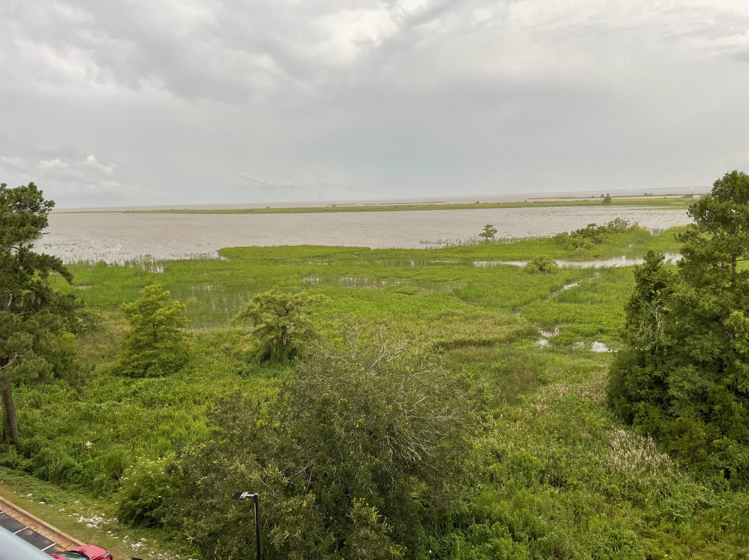 Hampton Inn Mobile-East Bay/Daphne主图