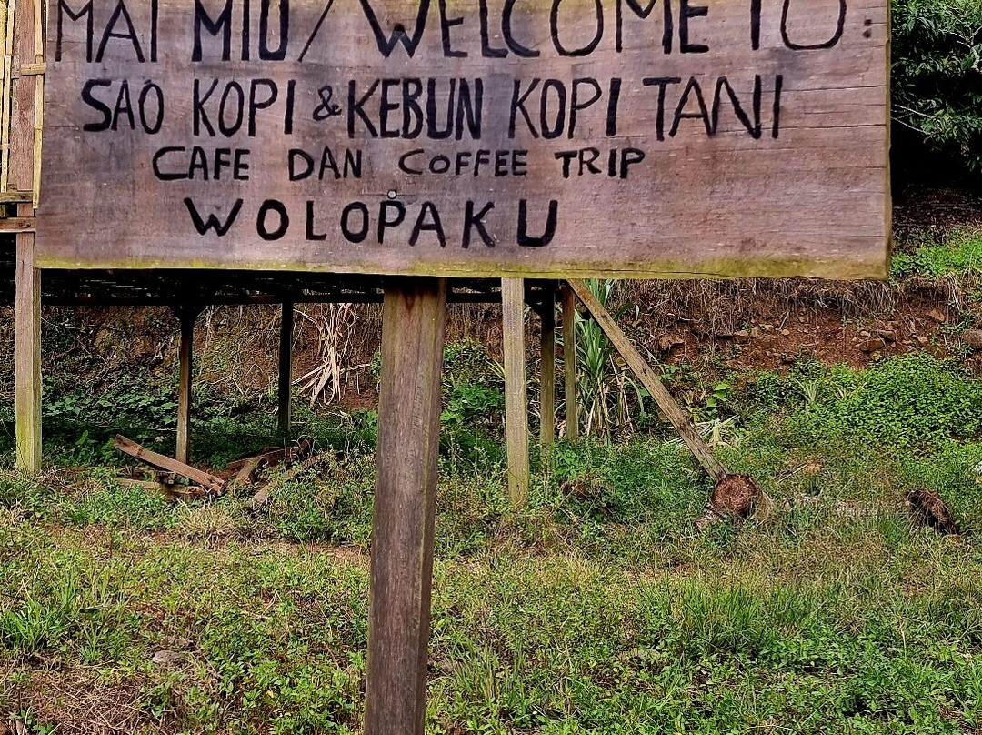 Kebun Kopi Tani景点图片