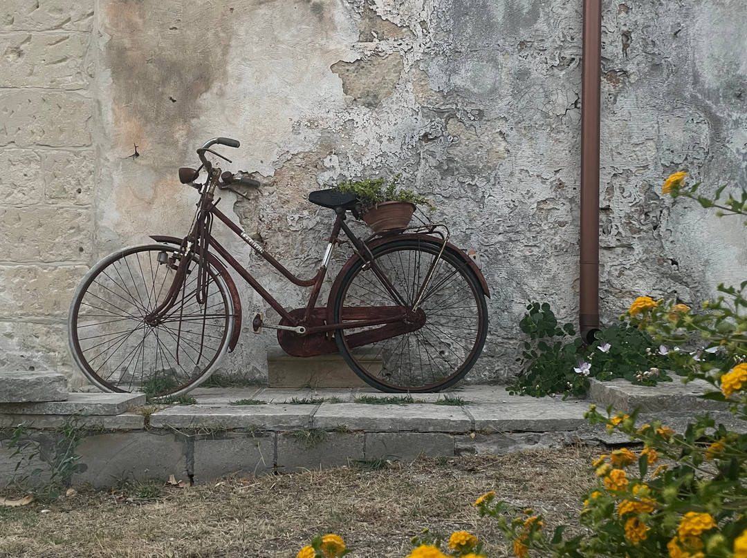 La Torre nel Borgo主图