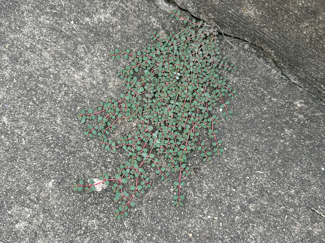 刘家大院(解放路店)主图