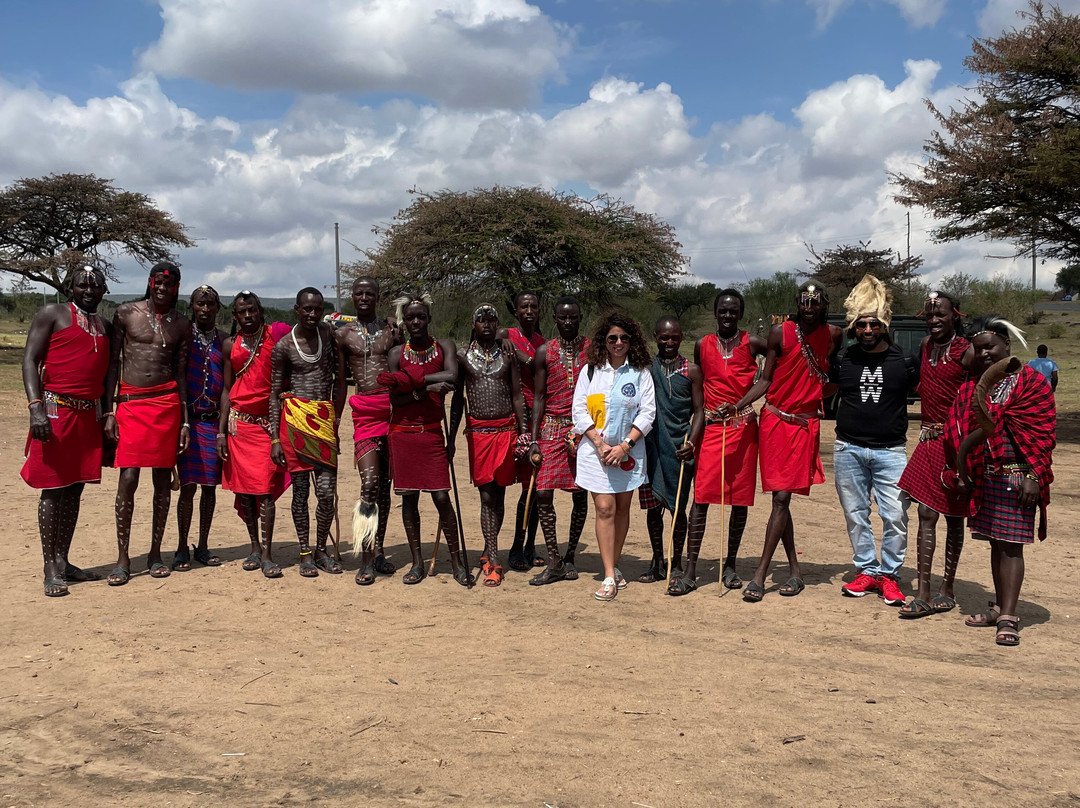 Wild Voyager-纽约市必去景点