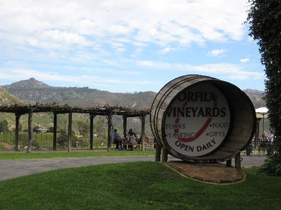 Orfila Vineyards & Winery景点图片