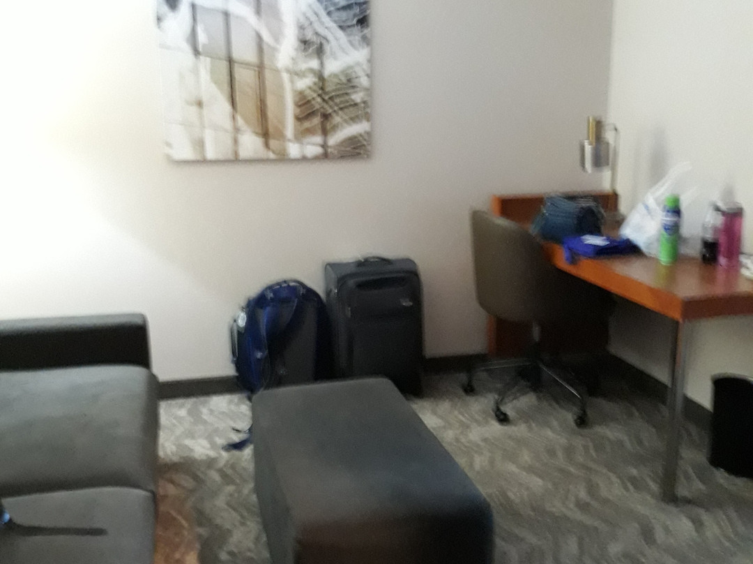 SpringHill Suites by Marriott Frankenmuth主图